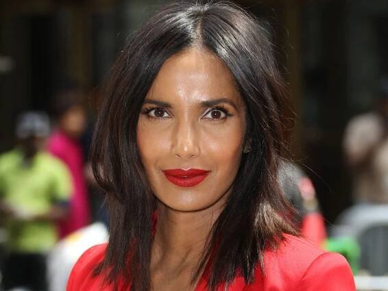 Celebs Are ‘Sharing’ Padma Lakshmi’s Fourth of July Dessert—And Its Powerful Political Message