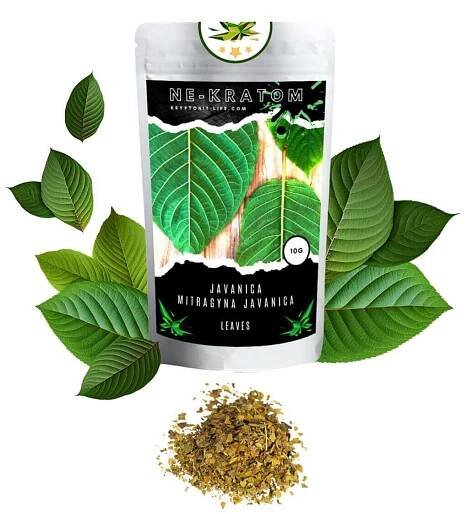 NE-KRATOM - Mitragyna Hirsuta - Drcené listy