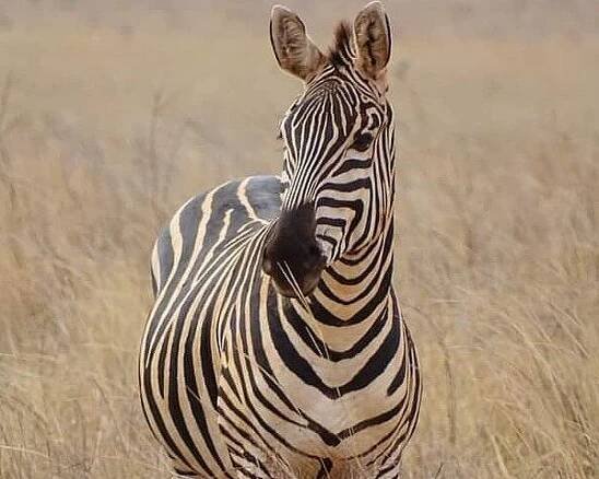 Watamu, Kenya: All You Must Know Before You Go (2025) - Tripadvisor