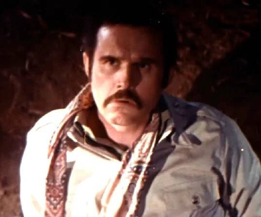 Charles Grodin Biography - Facts, Childhood, Family Life & Achievements