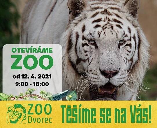 Zoo Dvorec zve k návštěvě | Třeboň a okolí - Třeboňsko.cz