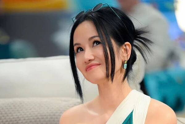 Hong Nhung tro lai hoa nhac 'Dieu con mai' hinh anh