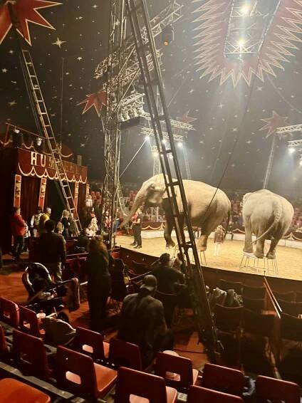 Legendární Cirkus Humberto ukončí letošní turné v Praze-Letňanech - General News