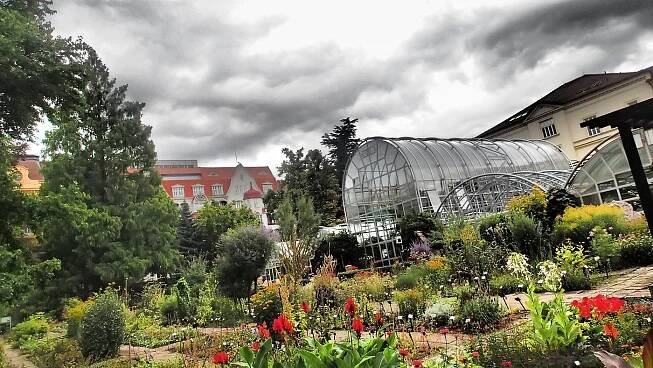 Botanicka Zahrada (Hortus Botanicus) (2025) - All You Need to Know BEFORE You Go (with Reviews)