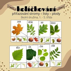 Stromy - listy - plody (kolíčkování) - Prvouka | UčiteléUčitelům.cz