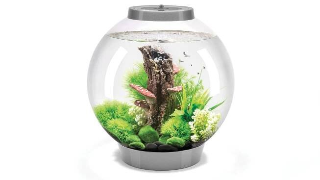 Biorb CLASSIC 30 LED AKRYLOVÉ AKVÁRIUM 30L DEKORATIVNÍ SET