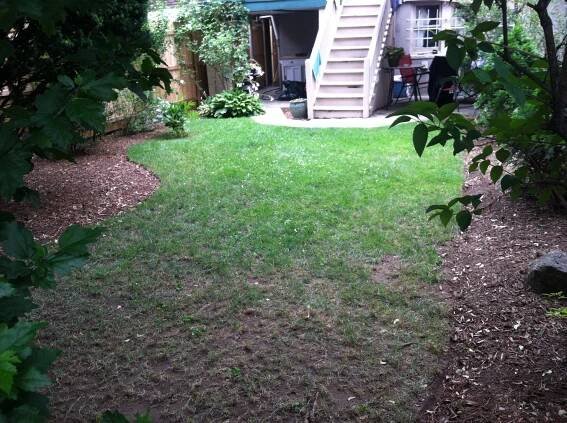 Before
