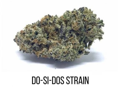 Strain Reviews - Marijuana Science