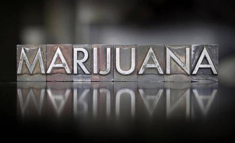 Marijuana in the Workplace - National Drug-Free Workplace Alliance