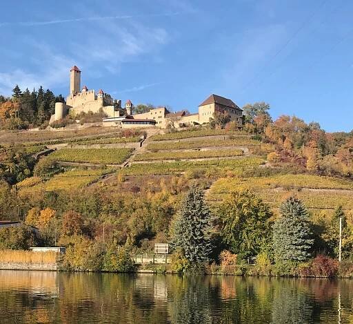 Weinberge_Burg 1200×1100