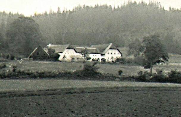 Staré Hutě (Horní Planá) – Wikipedie