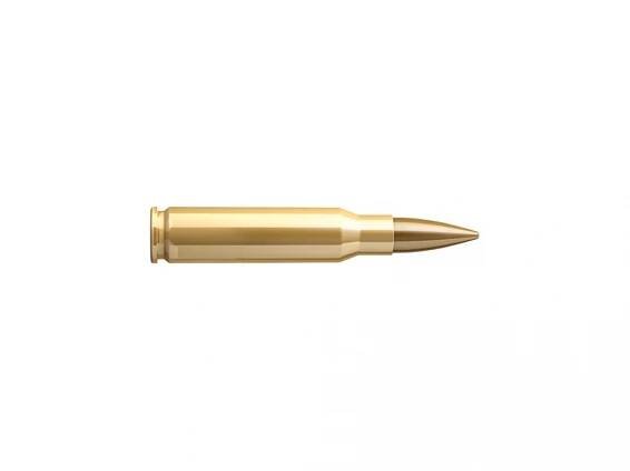 308 WIN. S&B HPBT-target (Match) /2880 10,9g