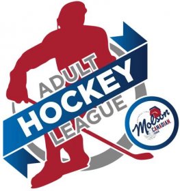 Adult Ice Hockey Leagues | Daytona Ice Arena