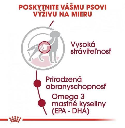 Kapsička Royal Canin Medium Adult 10 x 140 g