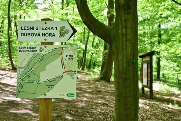 Město rozšířilo oblíbenou lesní stezku na Dubové hoře v Liticích. Hravou formou přibližuje život v lese | Plzeňský standard