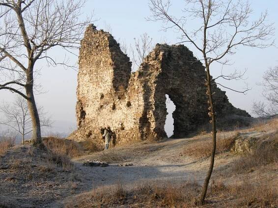 icomos.cz - Stanovisko ČNK ICOMOS k zajištění zříceniny hradu Týřova