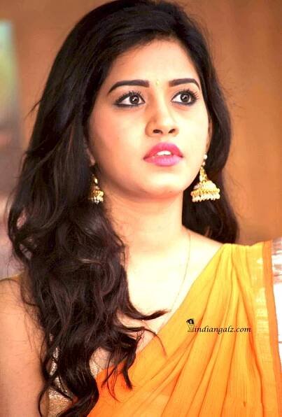 Nabha Natesh – Smoking hot babe in saree! – IndianGalz