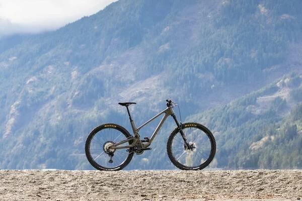 Forbidden Druid V1 XT (BrownStone)