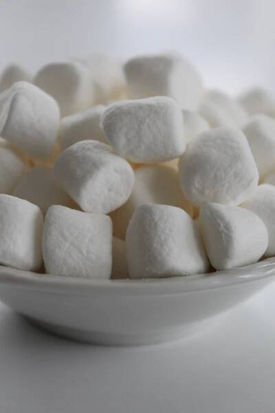 Marshmallow - Debbie Barker
