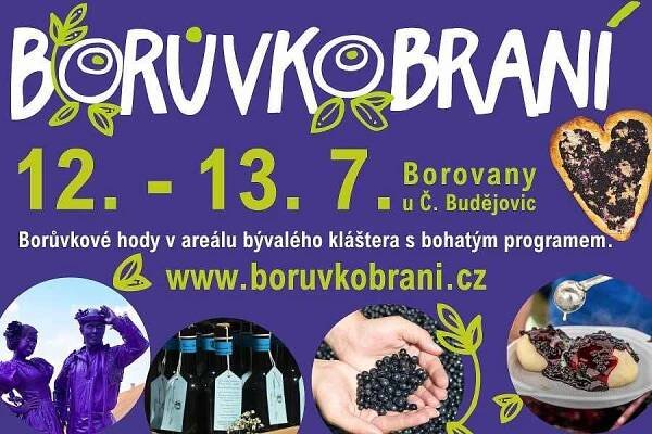 Borůvkobraní v Borovanech: Slavnost chutí, hudby a dobré nálady - PR Deník