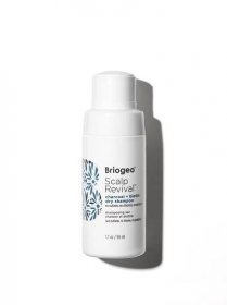 Nejlepší Suché Šampony: Briogeo péče o vlasy skalp Revival uhlí + biotin suchý šampon