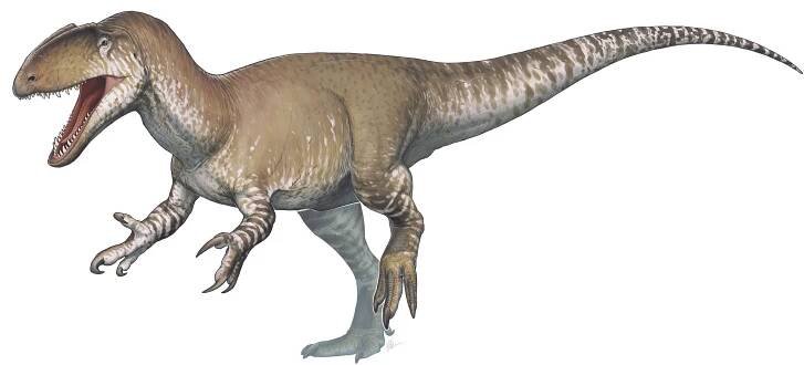 Soubor:Neovenator.png – Wikipedie