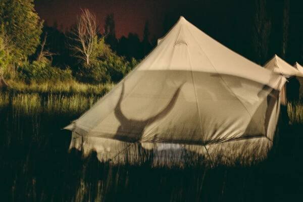 Transhumance — Francesca Todde
