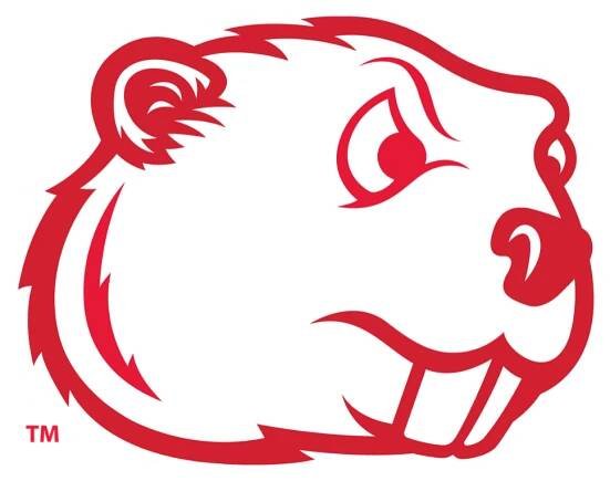 Logo Image of Minot State University