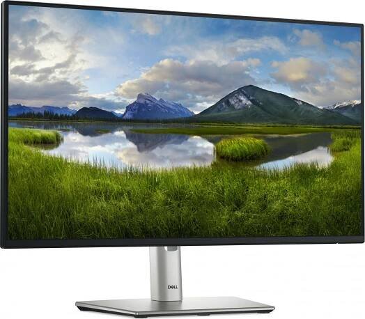 DELL Professional P2425HE se stojanem