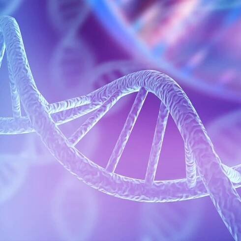 DNA-Struktur - Billion Photos / Shutterstock.com