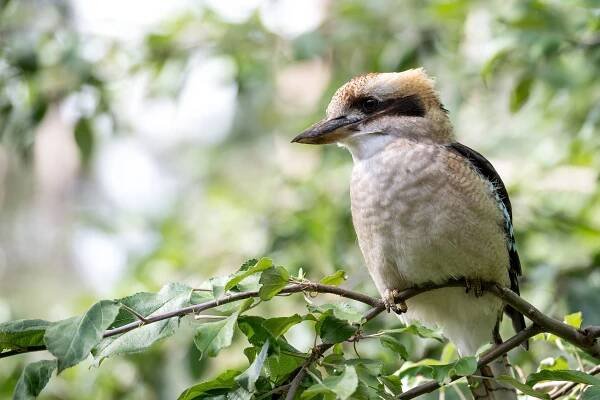 10 Nejlepších Míst K Návštěvě V Austrálii, Která Vás Ohromí! » Cestovka-Jihlava.cz