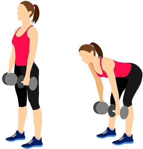 Online Fitness