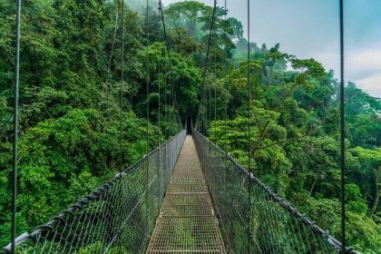 kostarický tropický les visící most - národní park monteverde - stock snímky, obrázky a fotky