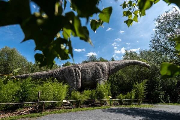 PODÍVEJTE SE: Unikátní svět dinosaurů u Ostravy volá: Návštěvníci, vraťte se!