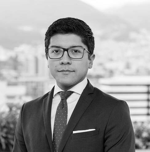 Mario Fernández - Boletín CorralRosales - Derecho Corporativo - Contratación Pública - Sector Eléctrico - Ecuador