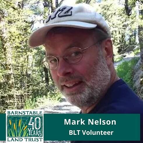 2023- Mark Nelson.png