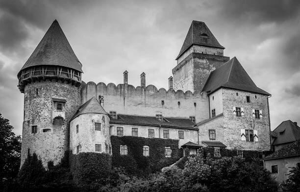 Zámok Heidenreichstein, Hrad, Medzník