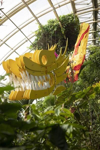 Botanická zahrada Praha zahájila výstavu orchidejí ve skleníku Fata Morgana