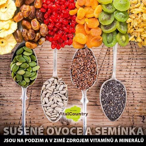 Sušené ovoce a semínka jsou zdravá | Zdraví a krása