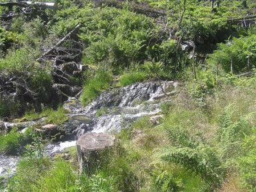 Prudký potok (přítok Krupé) – Wikipedie