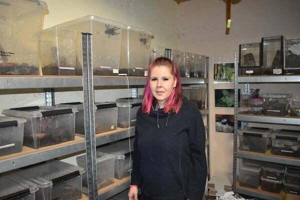 Petra (39) žije v domě s 2600 pavouky: Podívaná jen pro otrlé! A co na to sousedi?