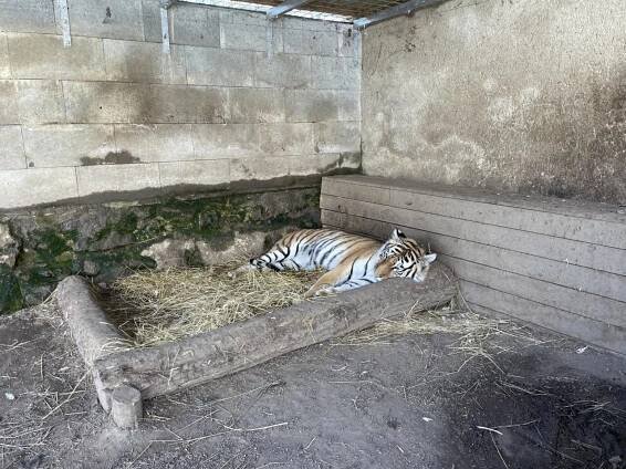 Kytičky a jejich výlet do Zooparku Olovnice - Oficiální stránky MŠ Kladno, J. Hory 1801