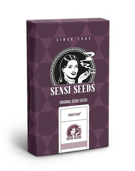 Sensi Seeds | Feminized Seeds - Cobalt Haze packaging