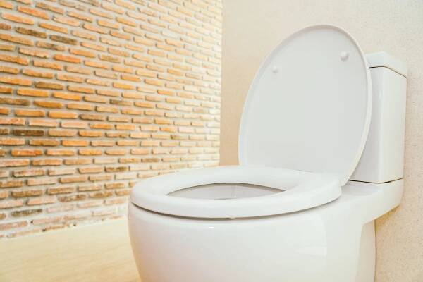 Ucpanou toaletu pomůže vyřešit jedlá soda s octem, účinná je také plastová láhev – Inspirace