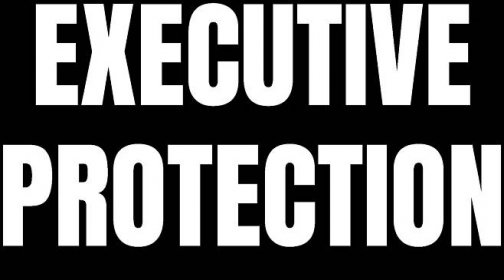 Executive Protection and Security Service in NYC | Roman Sanford