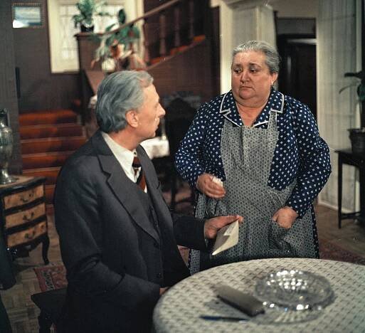Nemocnice na kraji města - Rozvod (S01E05) (1977)