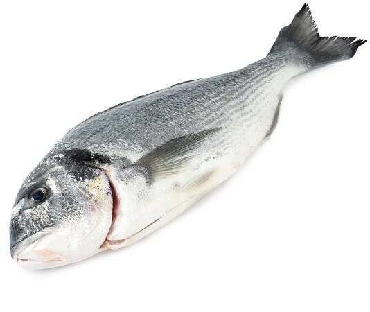 FJORU BIO Pražma královská kuchaná