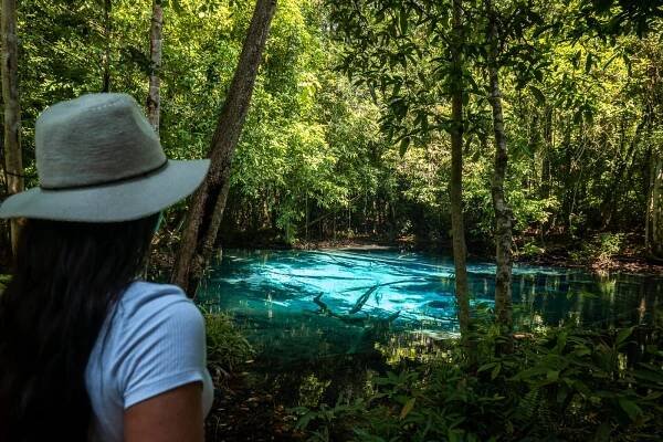 Emerald Pool Krabi: Guide To The Emerald &Amp; Blue Lagoon