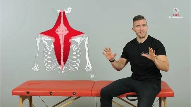 M. Trapezius - ukázka manuální terapie svalu (svalových spoušťových bodů) a autoterapie