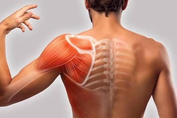Dor no ombro: Causas, tratamentos e prevenção - Fisiopop